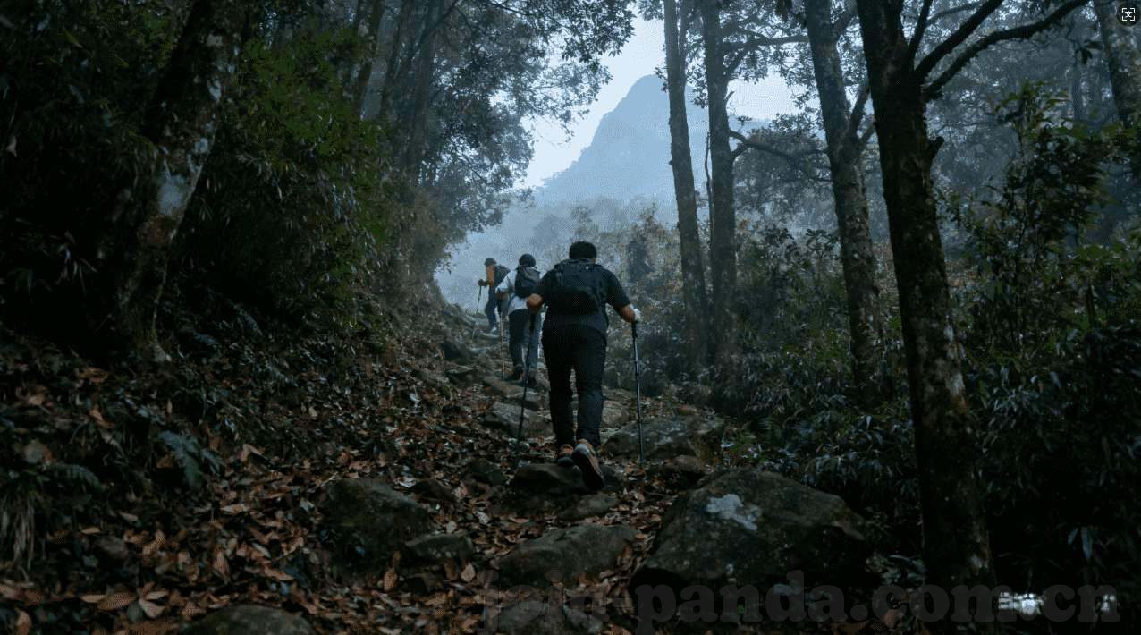 篮球世界杯有奖竞猜-篮球世界杯有奖竞猜，激情与智慧的碰撞